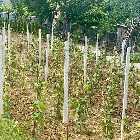 Guesthause Bagdati Εξωτερικό φωτογραφία