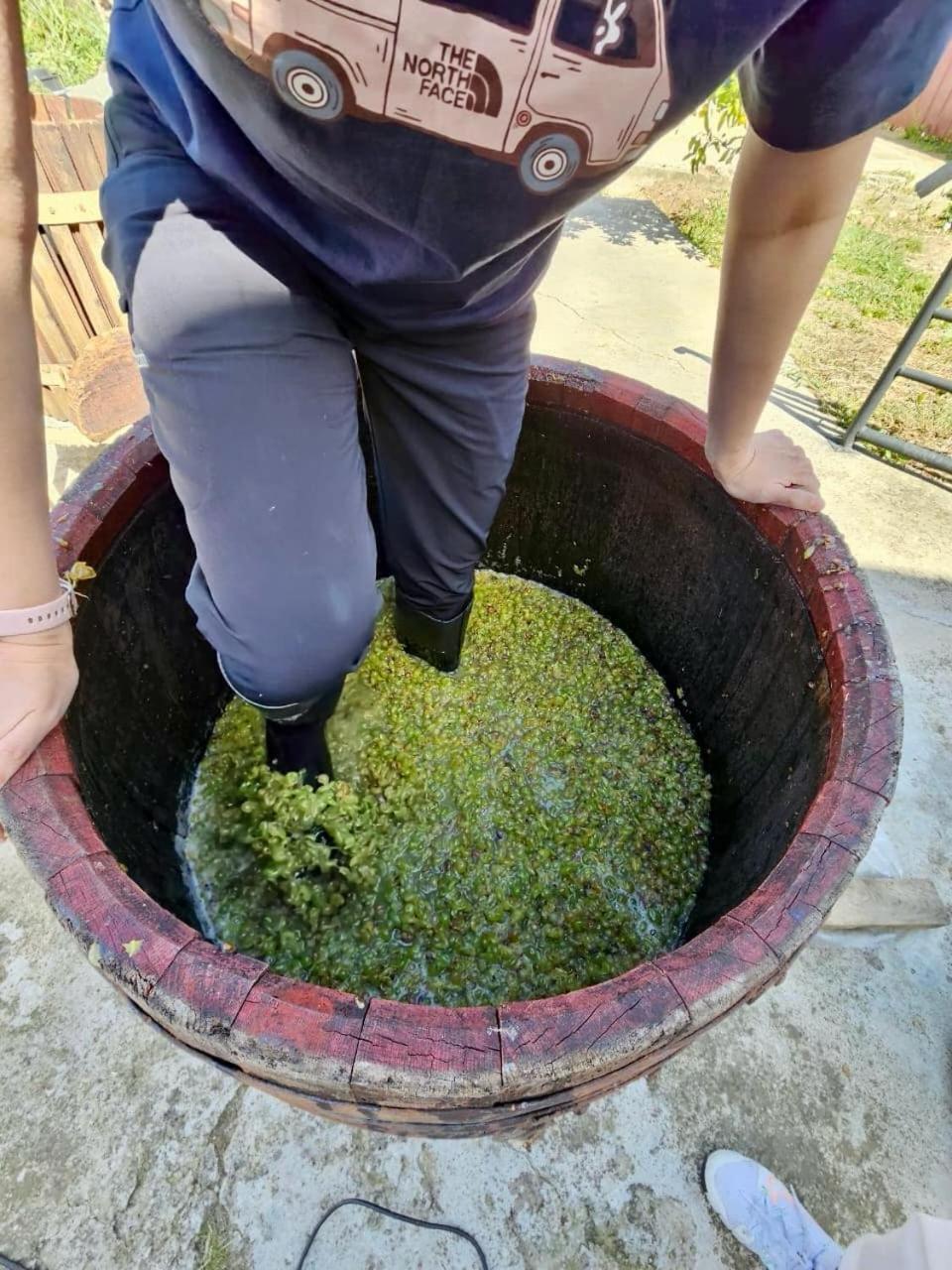 Guesthause Bagdati Εξωτερικό φωτογραφία